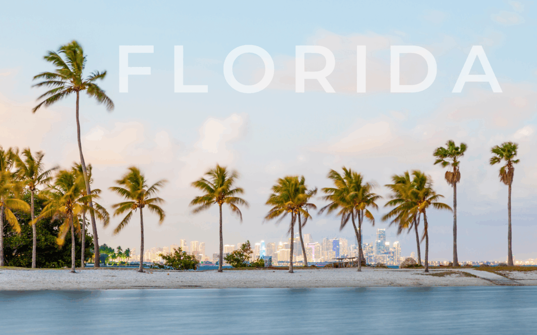 When to Hire a Public Adjuster in Florida?