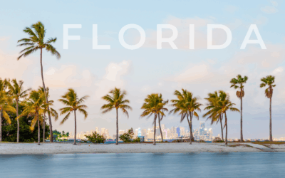 When to Hire a Public Adjuster in Florida?