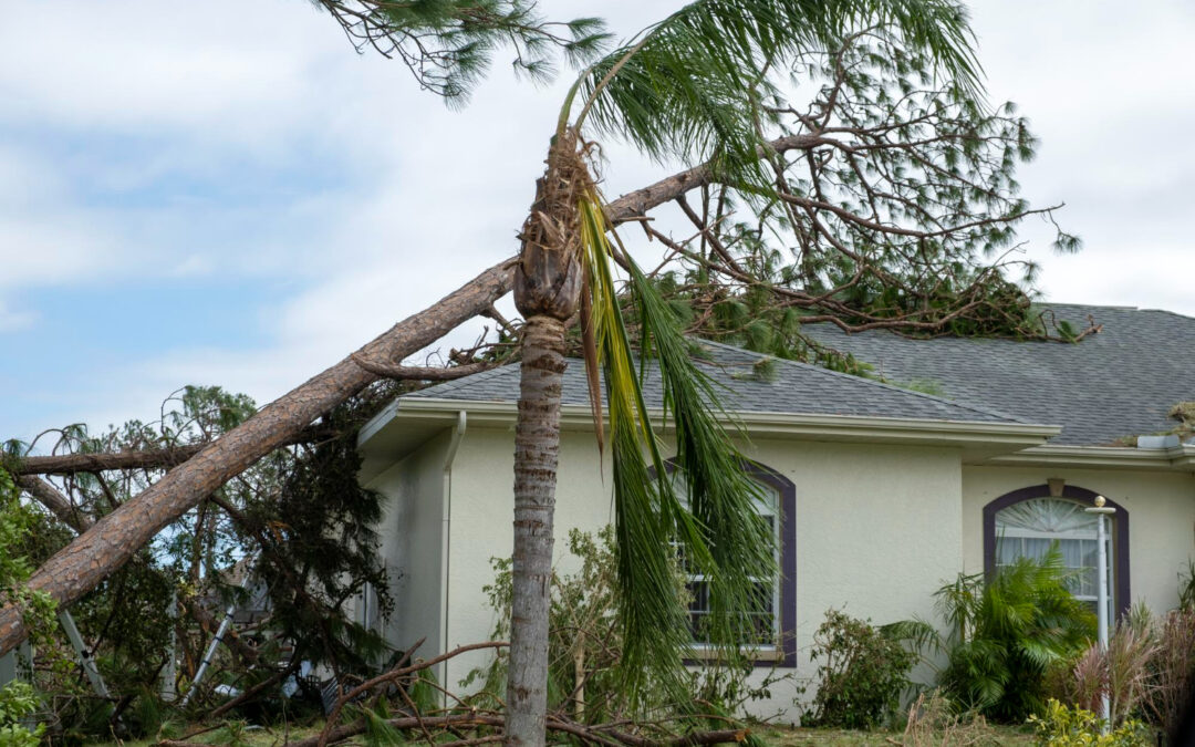 Early Hurricane Season Roof Damage: Florida Insurance Claim Steps