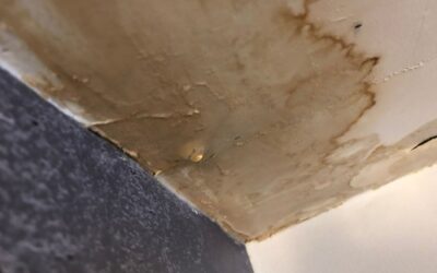 When Water Damage Strikes in Florida, Who Handles Your Claim